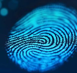 Analyzing a Fingerprint for Criminal Identification through Digital Forensic Technology Concept Fingerprint analysis Criminal identification Digital forensic technology Forensic evidence